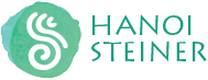 Hanoi Steiner